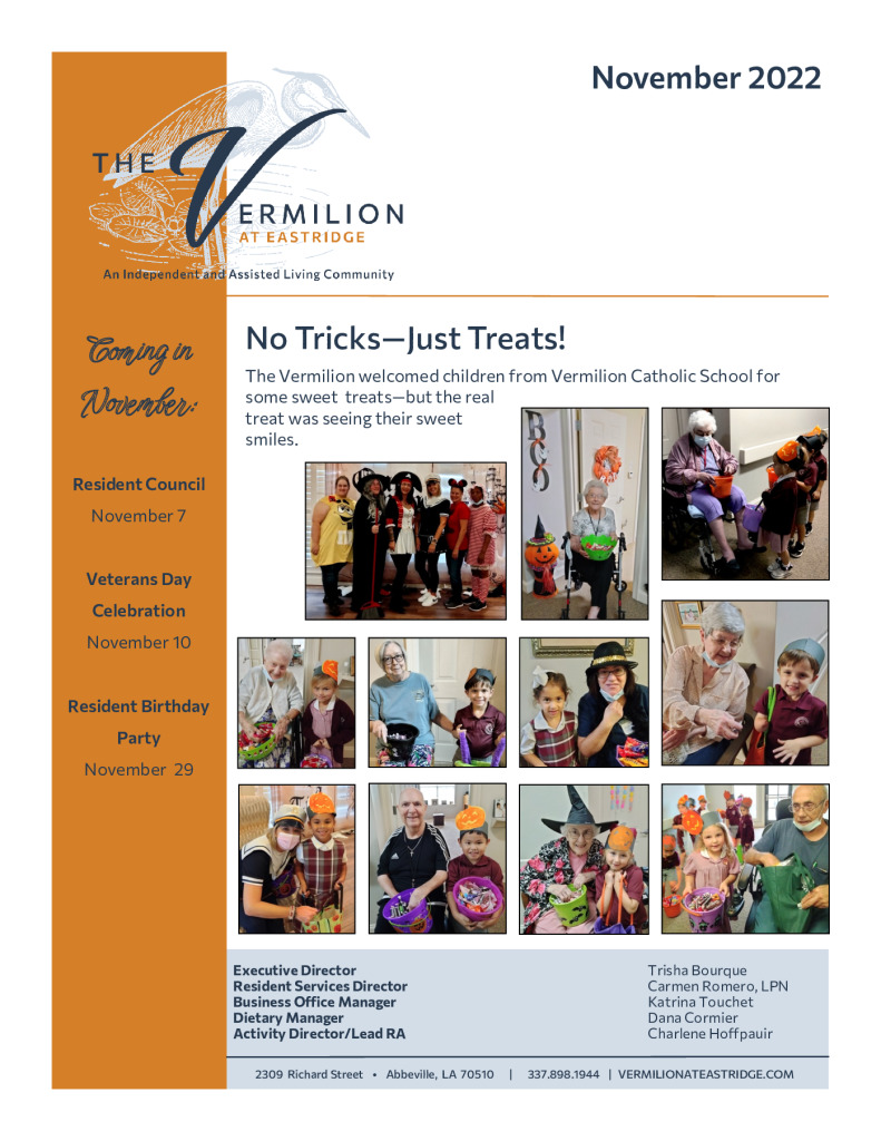 thumbnail of The Vermillion November 2022 Newsletter