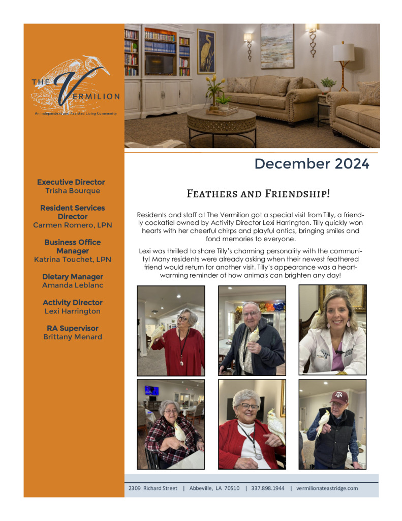 thumbnail of The Vermilion December 2024 Newsletter FINAL