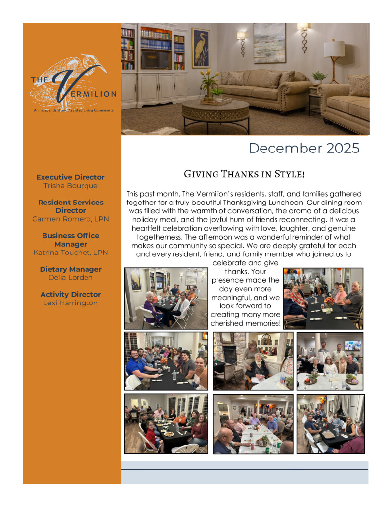 thumbnail of Vermilion December Newsletter FINAL